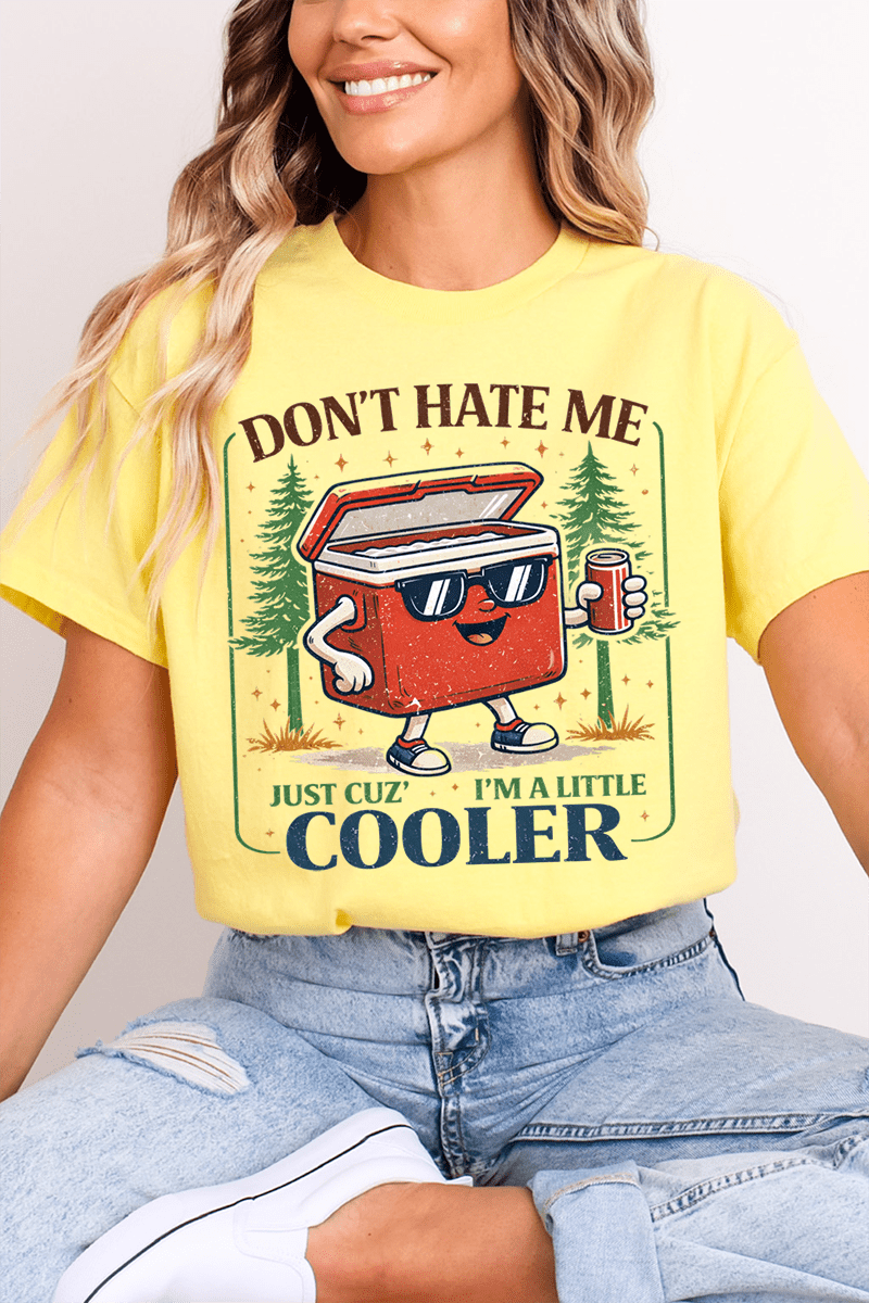 I'm A Little Cooler Softstyle Adult T-Shirt product image 4
